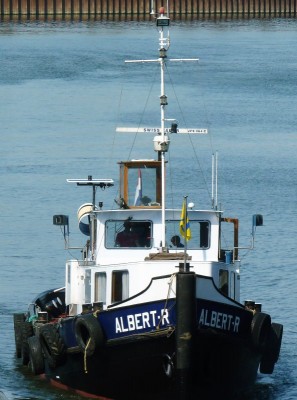 Albert-R-3-02-05-2016 (2).jpg