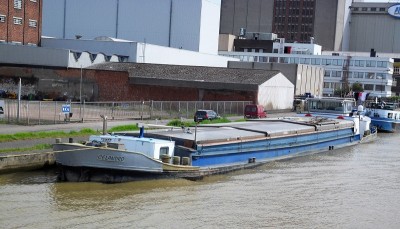 Celandro-1-07-05-2011-Theo-Tukker.JPG (326.79 Kio) Vu 1261 fois Celandro-1-07-05-2011-Theo-Tukker.JPG