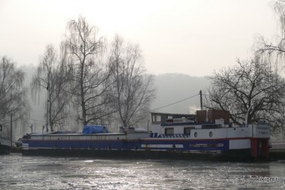 MUGISSANTS (1) (Copier).JPG (142.22 Kio) Vu 4004 fois MUGISSANTS (1) (Copier).JPG