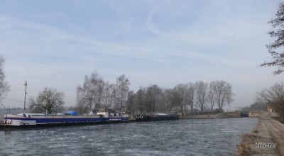 MUGISSANTS (2) (Copier).JPG (60.87 Kio) Vu 3853 fois MUGISSANTS (2) (Copier).JPG