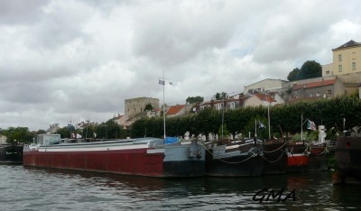 bohlen+myosotis+clotaire+victorieux+nd des eaux-avrd.jpg