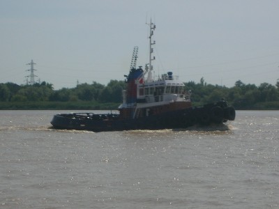 DSCN4767.JPG (118.81 Kio) Vu 1836 fois DSCN4767.JPG