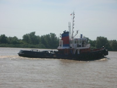 DSCN4775.JPG (117.06 Kio) Vu 1836 fois DSCN4775.JPG