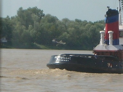 DSCN4778.JPG (117.74 Kio) Vu 1910 fois DSCN4778.JPG