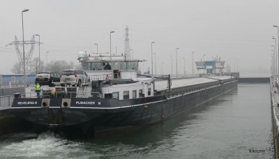 KVB WILHELMINA 3 + 4 - Gambsheim - 24 janvier 2017 (5).JPG