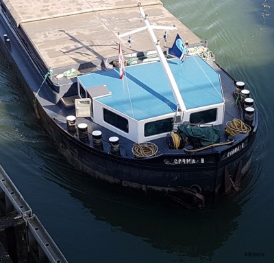 CORMA-B Marckolsheim 15 février 2017 (2) (Copier).jpg (120.17 Kio) Vu 1741 fois CORMA-B Marckolsheim 15 février 2017 (2) (Copier).jpg