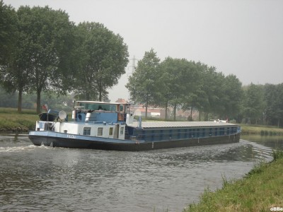 Filou 05.JPG