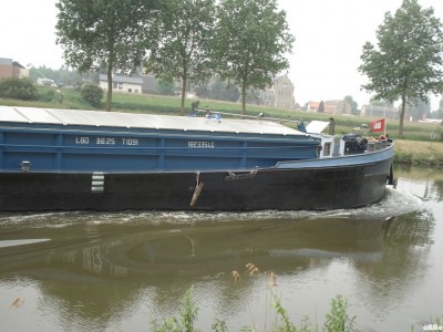 Filou 03.JPG