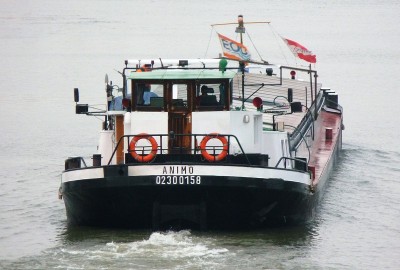 Animo-6-21-12-2016-sluis-Lith (2).JPG