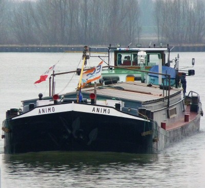 Animo-1-21-12-2016-sluis-Lith (2).JPG