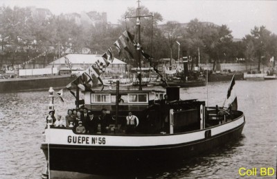 IMG_20170213_0004 GUEPE N°56 (Copier)#.jpg (102.76 Kio) Vu 1948 fois IMG_20170213_0004 GUEPE N°56 (Copier)#.jpg