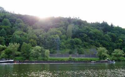 KVB-Inachos-en-2-4-10-07-2016-Traben-Trarbach (2).JPG