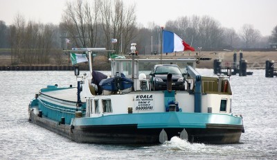 Koala-8-21-02-2017-sluis-Lith (2).JPG (194.6 Kio) Vu 3394 fois Koala-8-21-02-2017-sluis-Lith (2).JPG