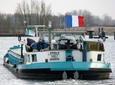 Koala-7-21-02-2017-sluis-Lith (2).JPG (226.98 Kio) Vu 3394 fois Koala-7-21-02-2017-sluis-Lith (2).JPG