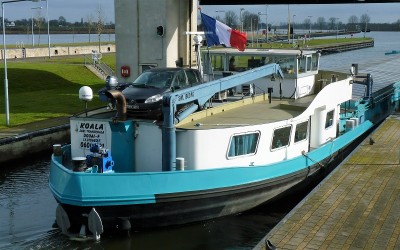 Koala-6-21-02-2017-sluis-Lith (2).JPG (212.72 Kio) Vu 3384 fois Koala-6-21-02-2017-sluis-Lith (2).JPG