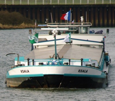 Koala-5-21-02-2017-sluis-Lith (2).JPG (224.59 Kio) Vu 3394 fois Koala-5-21-02-2017-sluis-Lith (2).JPG