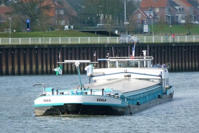 Koala-3-21-02-2017-sluis-Lith (2).JPG (222.11 Kio) Vu 3384 fois Koala-3-21-02-2017-sluis-Lith (2).JPG