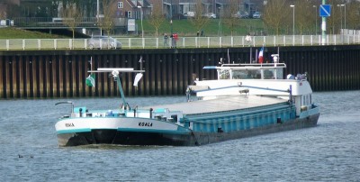 Koala-2-21-02-2017-sluis-Lith (2).JPG (182.06 Kio) Vu 3394 fois Koala-2-21-02-2017-sluis-Lith (2).JPG