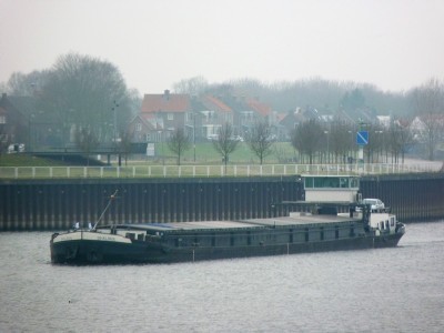 Shalona-1-07-02-2017-sluis-Lith (2).jpg