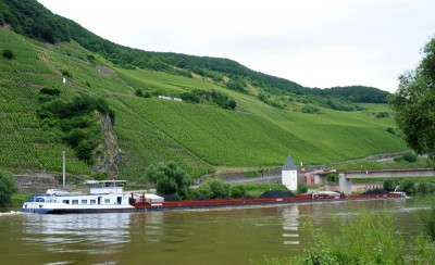 KVB-Maranta-4-Trittenheim-27-06-2016 (2).JPG (208.63 Kio) Vu 3617 fois KVB-Maranta-4-Trittenheim-27-06-2016 (2).JPG