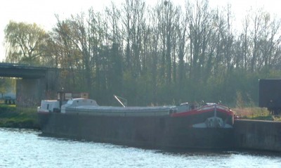 BELISAMA (1).jpg
