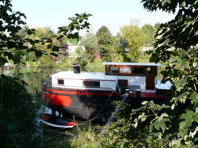 rosa-arrd.jpg (537.07 Kio) Vu 1582 fois rosa-arrd.jpg