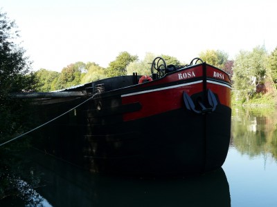 rosa-avrd.jpg (425.04 Kio) Vu 1582 fois rosa-avrd.jpg