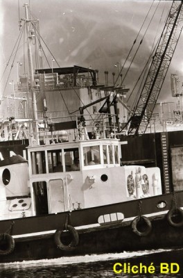 IMG_20170221_0054 GOELAND Canal Caen à la Mer (Copier).jpg (85.75 Kio) Vu 1486 fois IMG_20170221_0054 GOELAND Canal Caen à la Mer (Copier).jpg