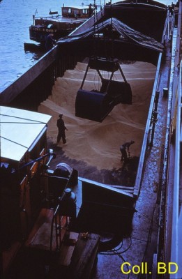 IMG_20160229_0024 (Copier)#.jpg (73.58 Kio) Vu 3071 fois IMG_20160229_0024 (Copier)#.jpg