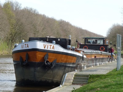 Vita-1-31-03-2017-Oirschot.JPG