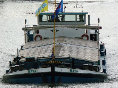 Maya-6-06-04-2017-sluis-Lith (2).JPG (233.79 Kio) Vu 2389 fois Maya-6-06-04-2017-sluis-Lith (2).JPG