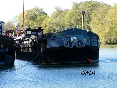 albe-avrd.jpg