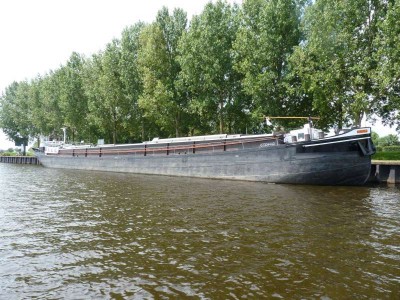 Gersom-2-2010.jpg