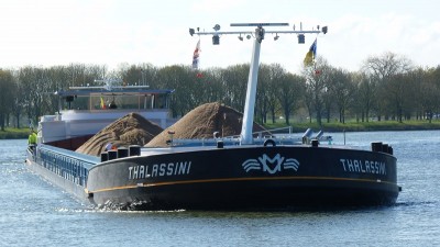 Thalassini-3-18-04-2017-sluis-Grave.JPG