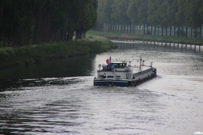 IMG_4113.JPG