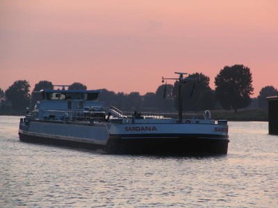 sardana-1-03-08-2009.jpg (53.95 Kio) Vu 1322 fois sardana-1-03-08-2009.jpg