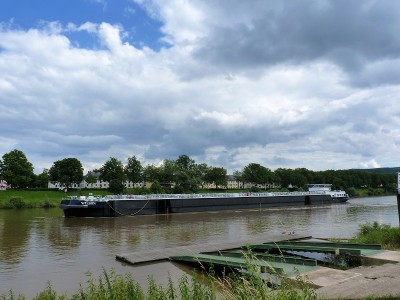 Wilson-2-26-06-2016 (2).JPG (195.34 Kio) Vu 1219 fois Wilson-2-26-06-2016 (2).JPG