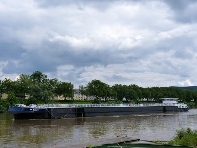 Wilson-1-26-06-2016 (2).JPG (181.43 Kio) Vu 1219 fois Wilson-1-26-06-2016 (2).JPG