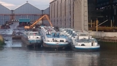 van der Gucht à Hoboken - mai 2016 - photo Julien Cornu (3).jpg (55.97 Kio) Vu 1486 fois van der Gucht à Hoboken - mai 2016 - photo Julien Cornu (3).jpg