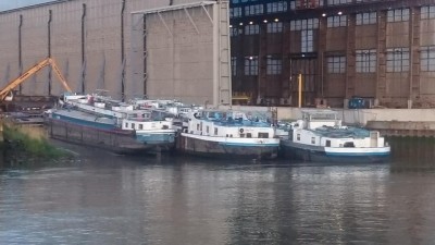 van der Gucht à Hoboken - mai 2016 - photo Julien Cornu (2).jpg (56.53 Kio) Vu 3247 fois van der Gucht à Hoboken - mai 2016 - photo Julien Cornu (2).jpg