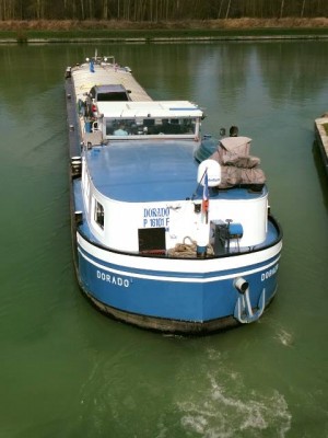 DORADO - Berry-au-Bac - mars 2017 (3).jpg (36.63 Kio) Vu 3243 fois DORADO - Berry-au-Bac - mars 2017 (3).jpg