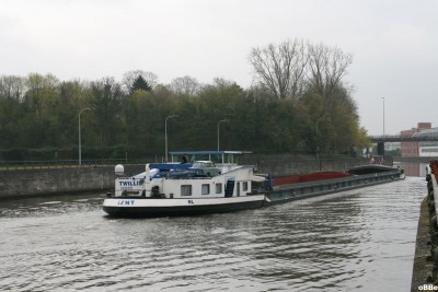 Twillis 07.jpg