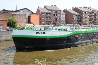 IMG_4629.JPG (138.81 Kio) Vu 3207 fois IMG_4629.JPG