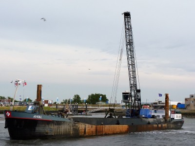 Rival-7-27-06-2017-Lauwersoog (2).jpg