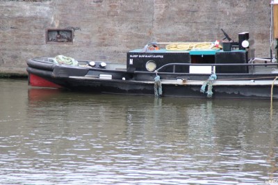 IMG_4736.JPG (148.93 Kio) Vu 1463 fois IMG_4736.JPG