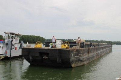 IMG_5006.JPG (80 Kio) Vu 1551 fois IMG_5006.JPG