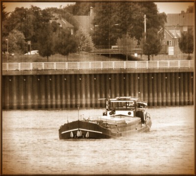 step0004.jpg (211.66 Kio) Vu 1643 fois step0004.jpg