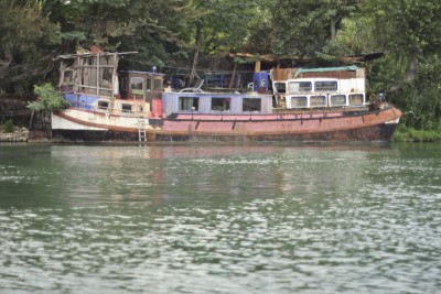 IMG_0374b.jpg (246.2 Kio) Vu 2027 fois IMG_0374b.jpg