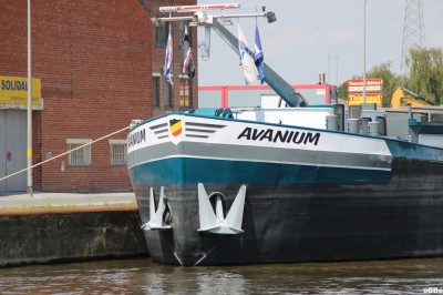 IMG_5052.JPG (133.4 Kio) Vu 2289 fois IMG_5052.JPG