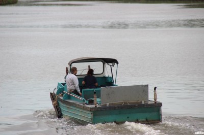 IMG_5114.JPG (99 Kio) Vu 3139 fois IMG_5114.JPG